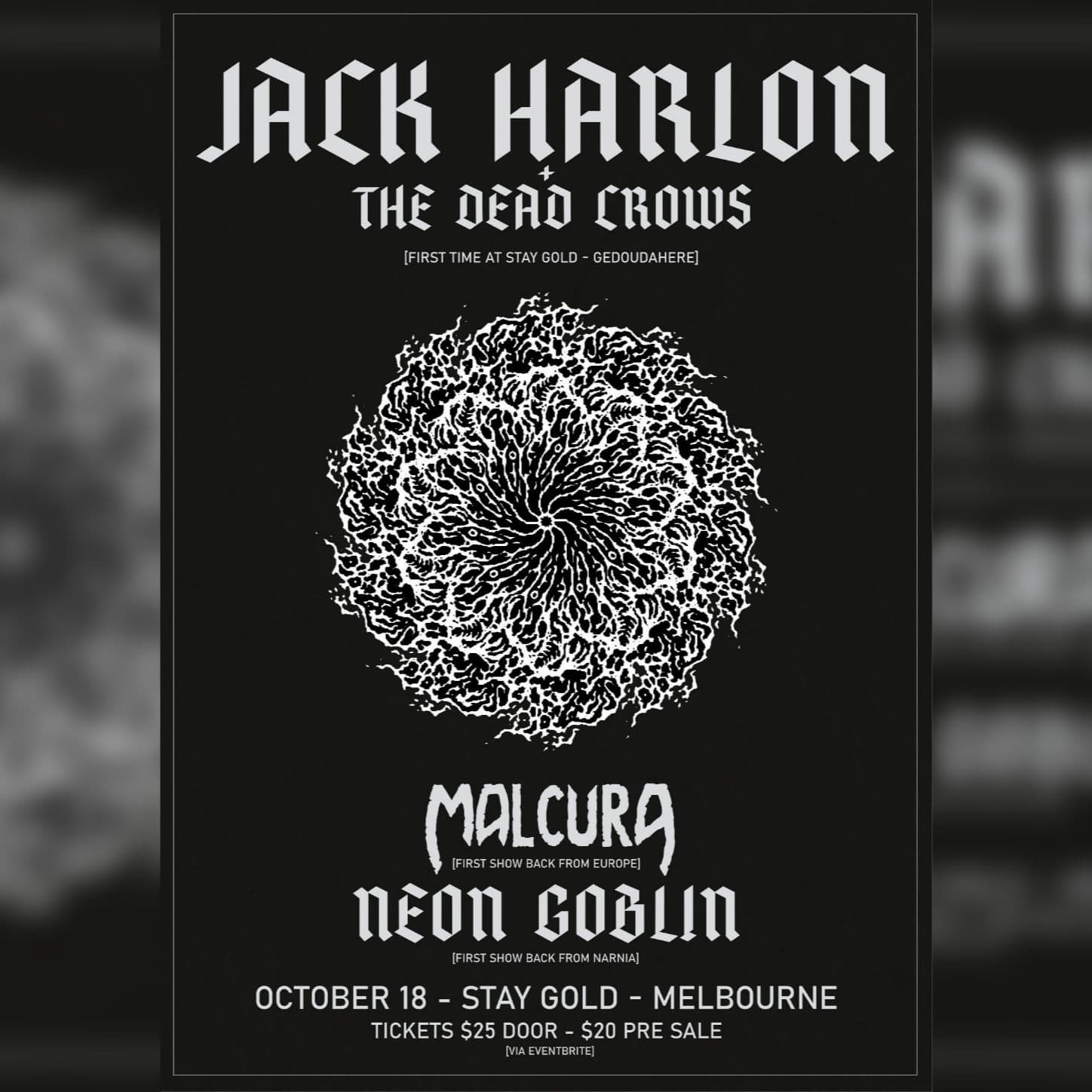 Malcura at Stay Gold!