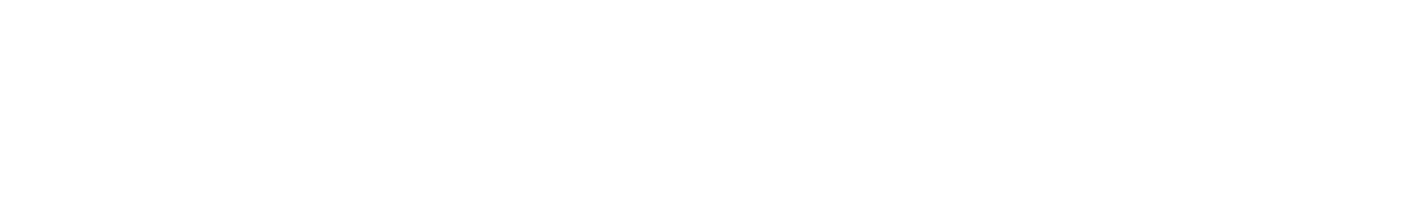 Zoom Corporation Logo